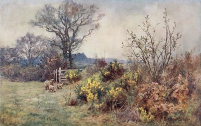 الميدان والطية بواسطة إرنست بينجر أو بيرنجر